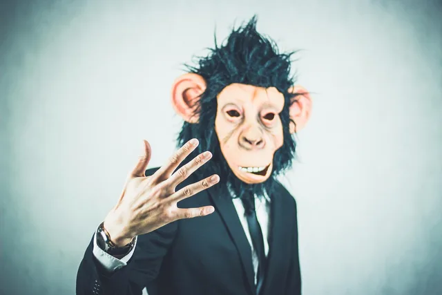 ape, application, training, business, portrait, start-up, startup, presentation, logo, meeting, businessman, monkey, profession, necktie, business people, management, kaufmann, winner, work, success, skills, manager, career, lifestyle, dynamic, shirt, workplace, boss, office, tax consultant, office job, men's suit, funny, bureaucracy, fun, leader, professional, outfit, advisor, specialist, successful, team leader, five. Change management case study: the parts worth your attention