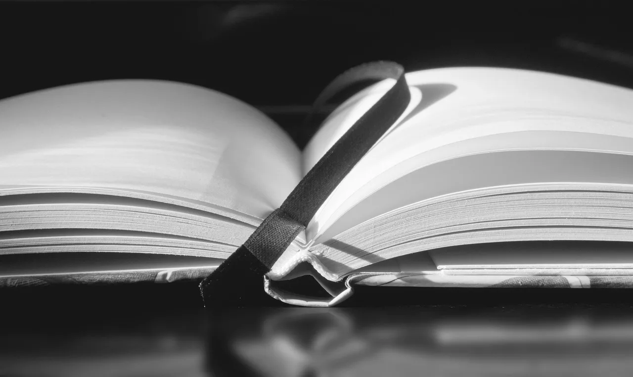 notebook, book, grades, study, to write, paper, annotation, school, read, library, vacuum, office, poetry, romantic, poetry, poetry, poetry, poetry, poetry. How to Read a Strategic Planning Case Study
